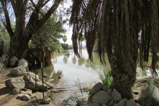 Yuma Conservation Garden